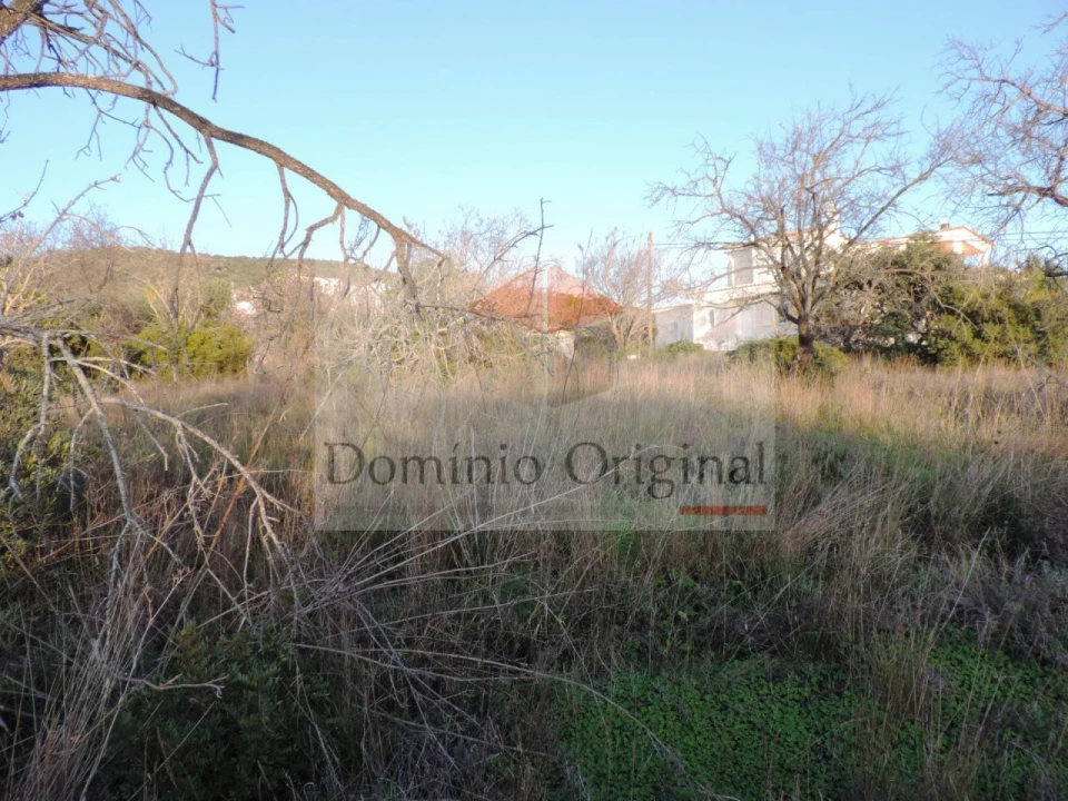 Terreno Agricola ou Rústico para Venda em Loule (São Clemente) Foto 7