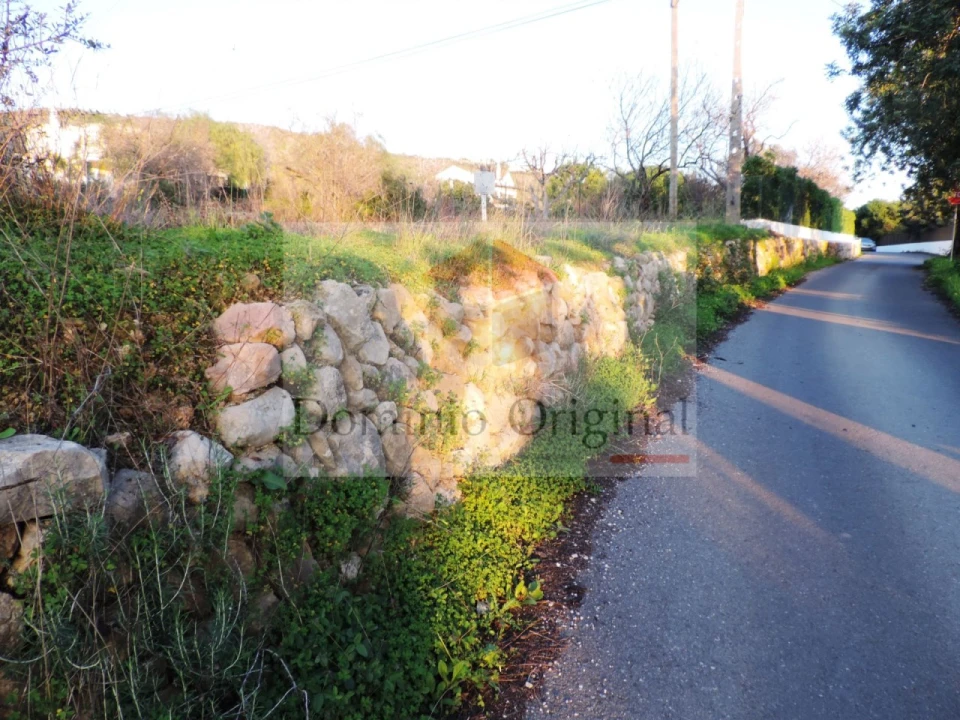 Terreno Agricola ou Rústico para Venda em Loule (São Clemente) Foto 3