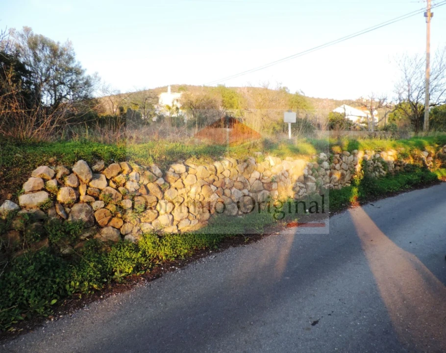 Terreno Agricola ou Rústico para Venda em Loule (São Clemente) Foto 2