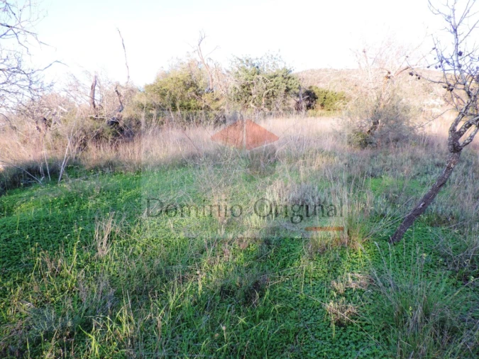 Terreno Agricola ou Rústico para Venda em Loule (São Clemente) Foto 5