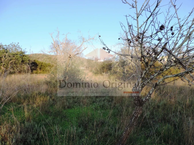 Terreno Agricola ou Rústico para Venda em Loule (São Clemente) Foto 6