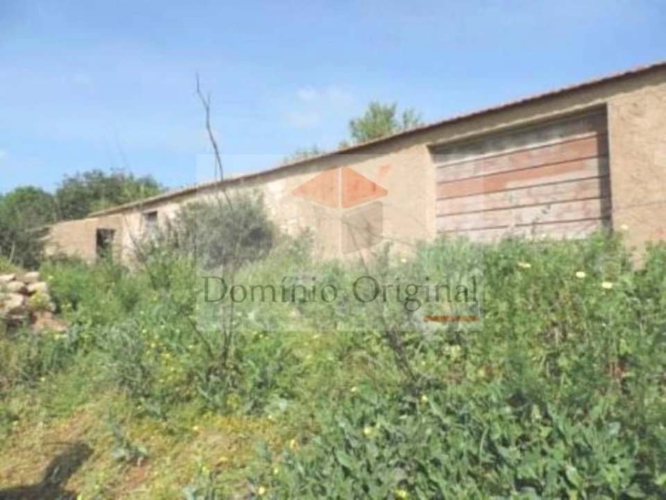 Terreno para Venda em Ferreiras Foto 10