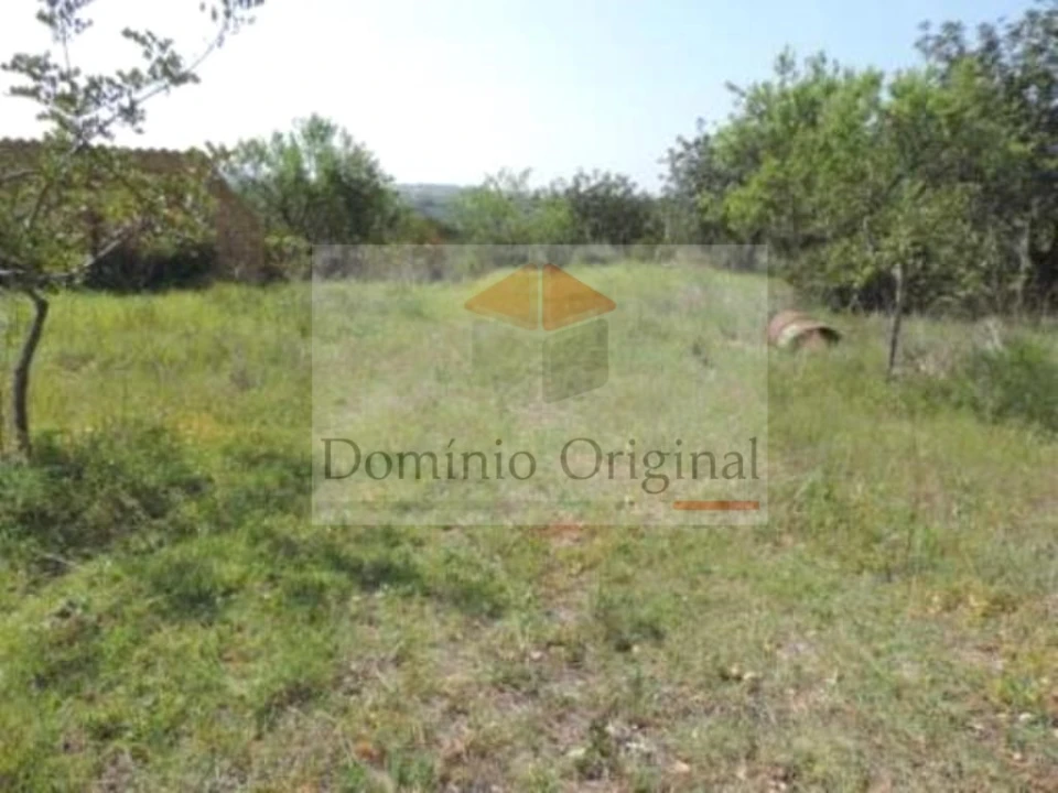 Terreno para Venda em Ferreiras Foto 15