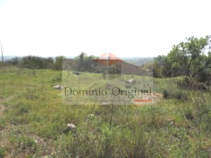 Terreno para Venda em Ferreiras Foto 5