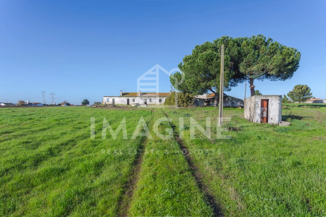 Terreno para Venda em Pinhal Novo Foto 10