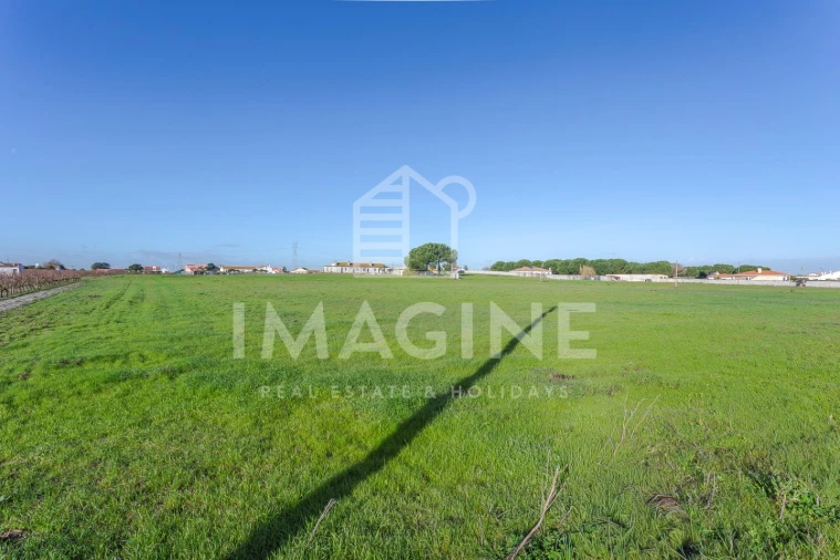 Terreno para Venda em Pinhal Novo Foto 9