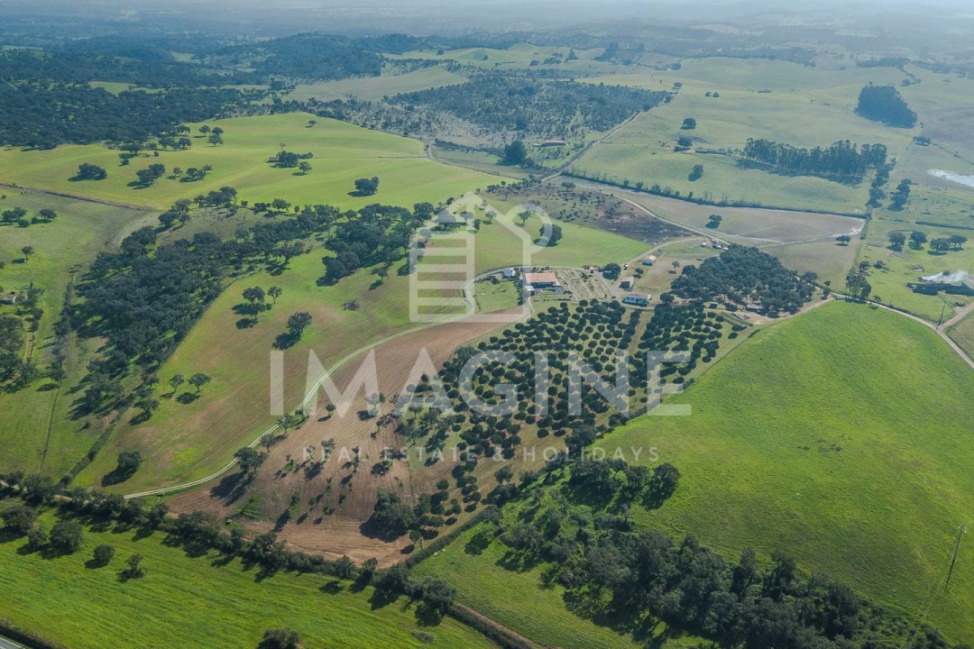 Terreno para Venda em Cercal Foto 2