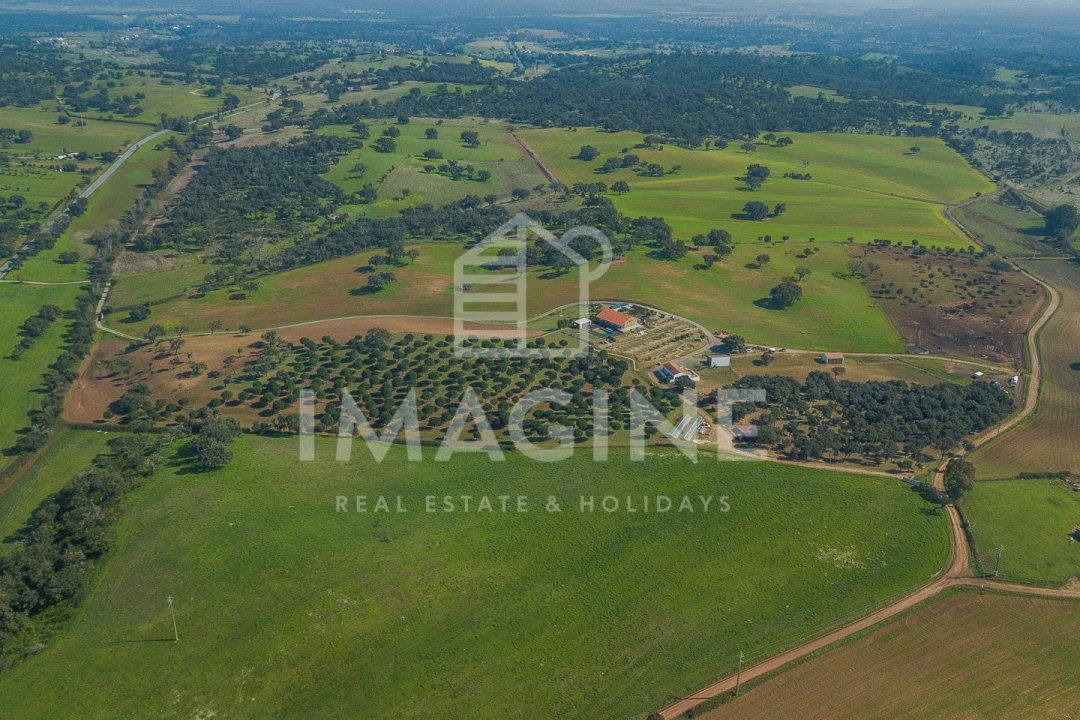Terreno para Venda em Cercal Foto 3