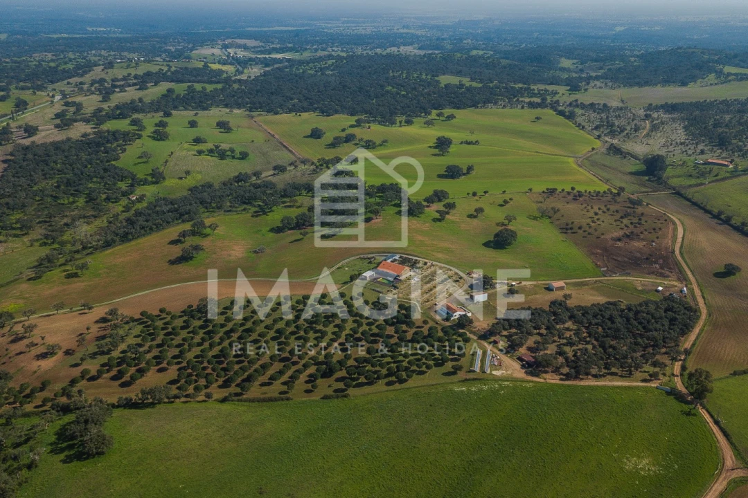Terreno para Venda em Cercal Foto 10