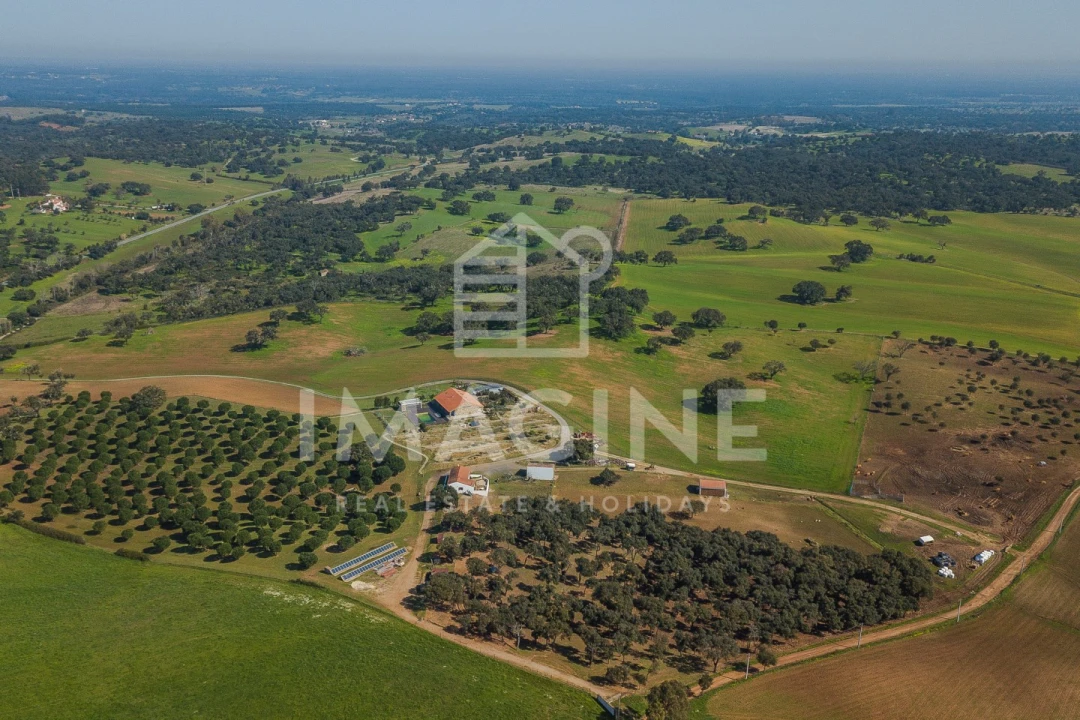 Terreno para Venda em Cercal Foto 14