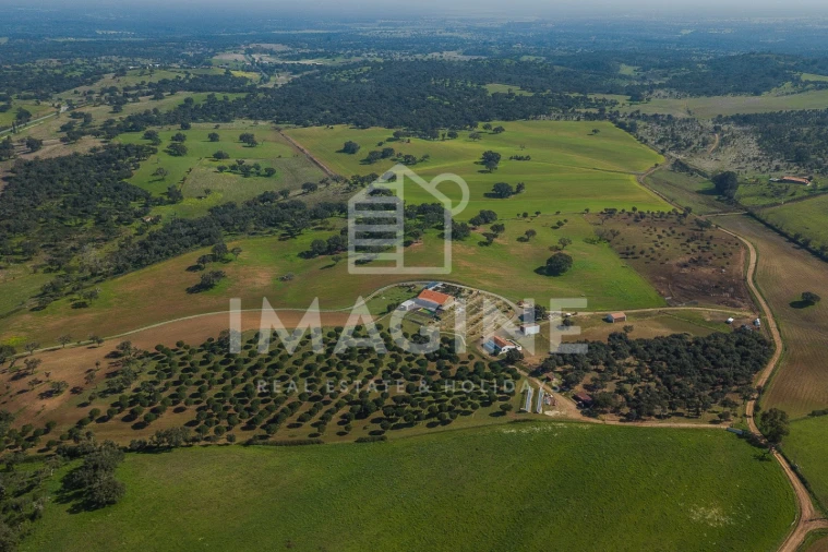 Terreno para Venda em Cercal Foto 10