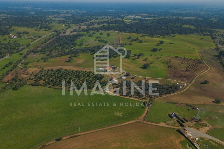Terreno para Venda em Cercal Foto 12