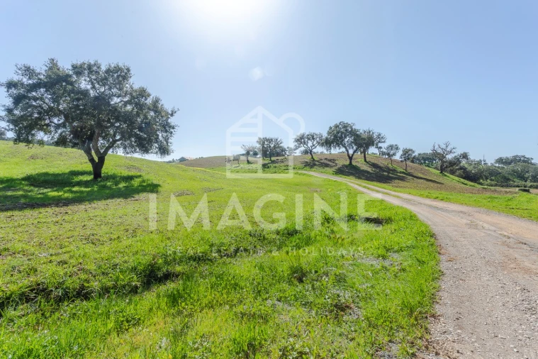 Terreno para Venda em Cercal Foto 72