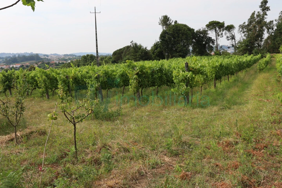 Terreno para Venda em Refontoura Foto 4