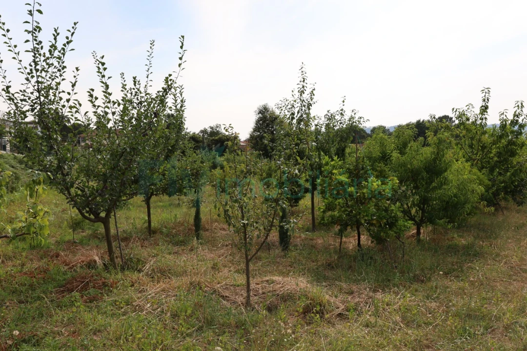 Terreno para Venda em Refontoura Foto 7