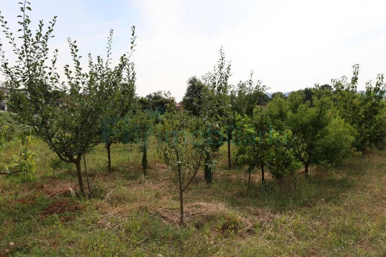 Terreno para Venda em Refontoura Foto 7