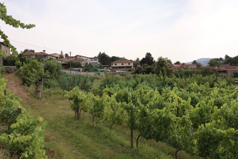 Terreno para Venda em Refontoura Foto 17