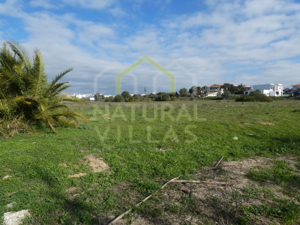 Terreno para Venda em Montenegro Foto 2
