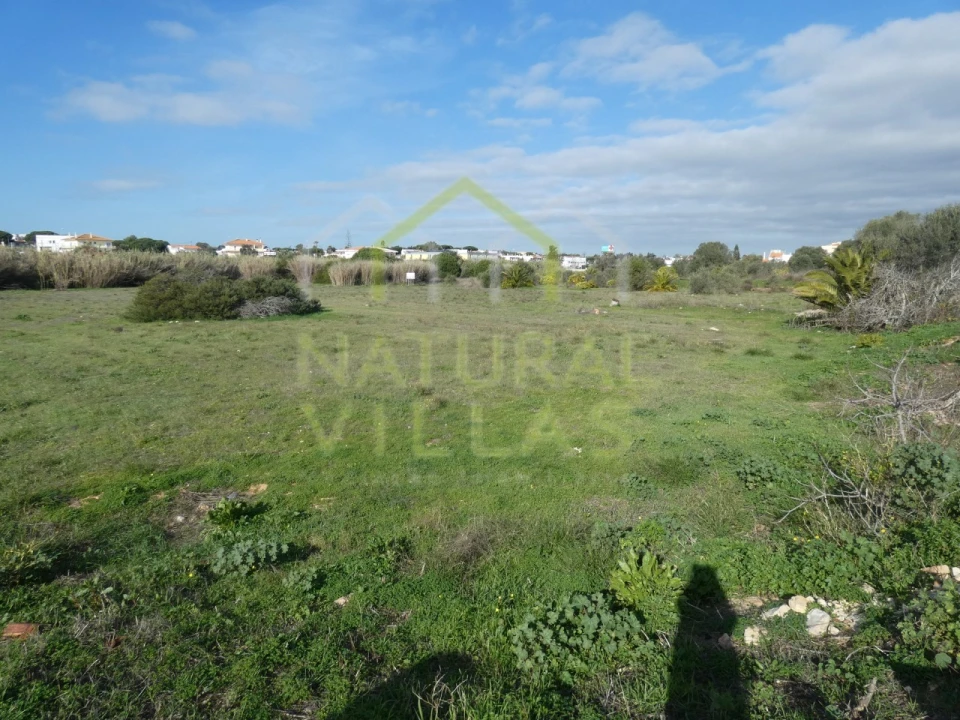 Terreno para Venda em Montenegro Foto 3