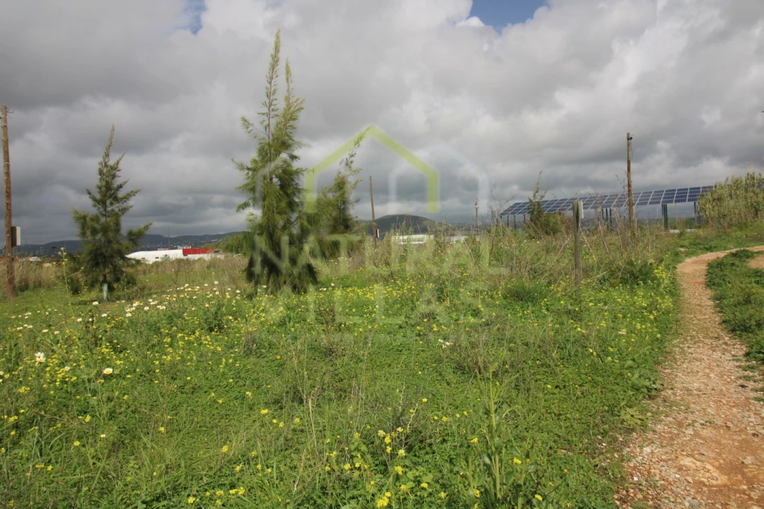 Terreno para Venda em Conceição e Estoi Foto 5