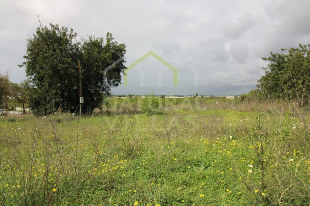 Terreno para Venda em Conceição e Estoi Foto 1