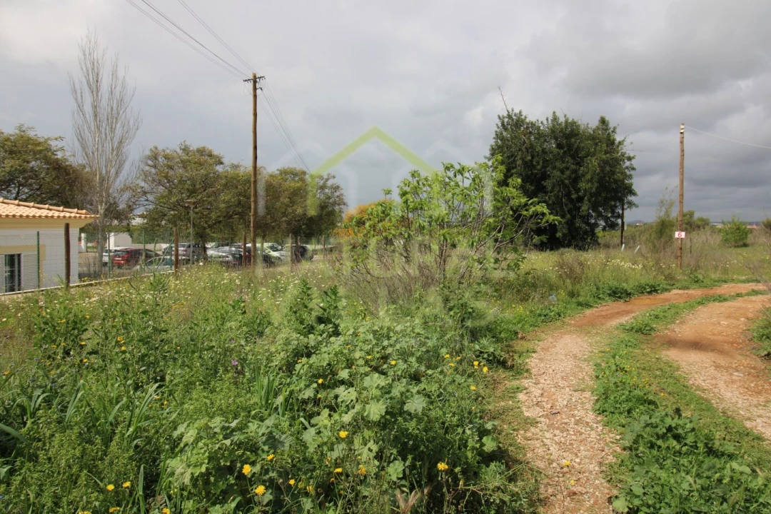 Terreno para Venda em Conceição e Estoi Foto 6