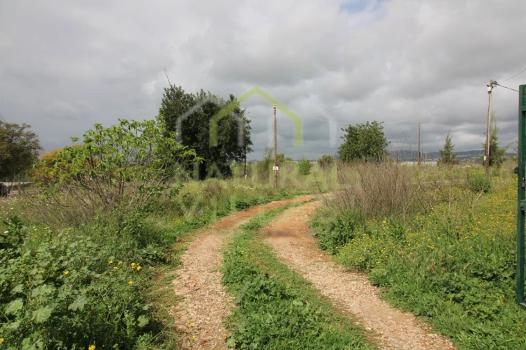 Terreno para Venda em Conceição e Estoi Foto 3