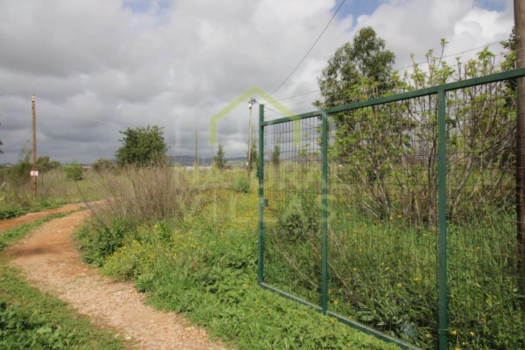 Terreno para Venda em Conceição e Estoi Foto 7