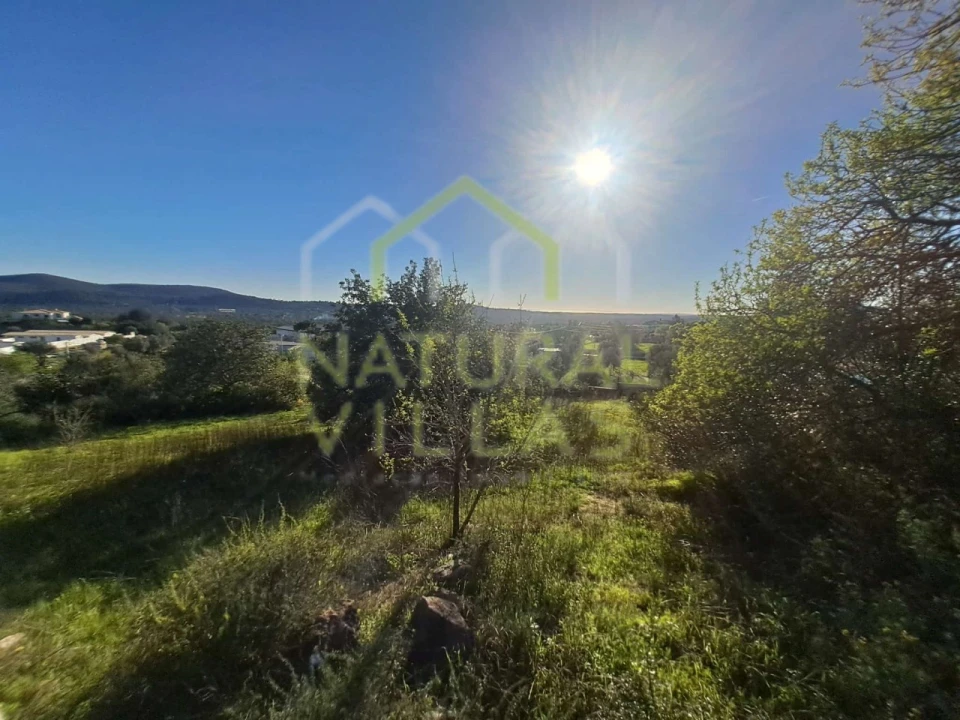 Terreno para Venda em Loule (São Sebastião) Foto 10