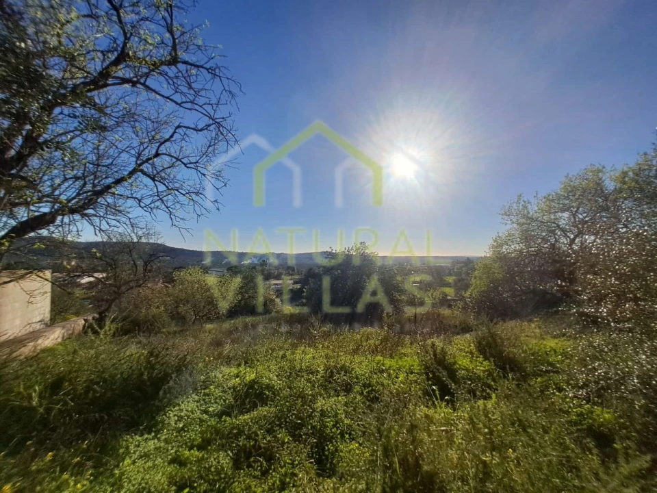 Terreno para Venda em Loule (São Sebastião) Foto 9