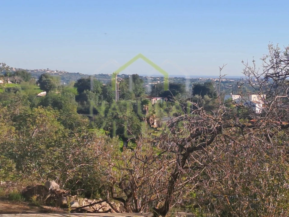 Terreno para Venda em Loule (São Sebastião) Foto 11
