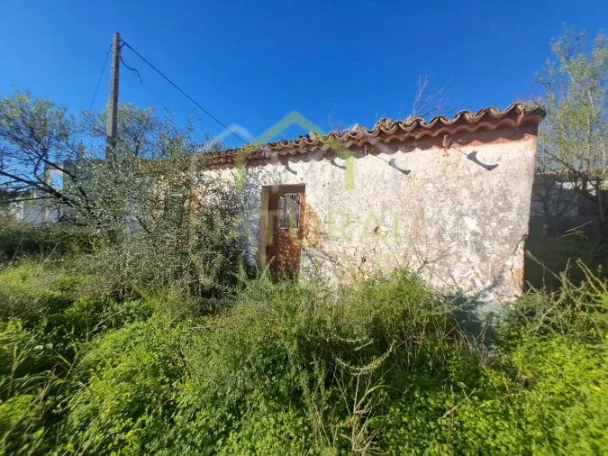 Terreno para Venda em Loule (São Sebastião) Foto 8