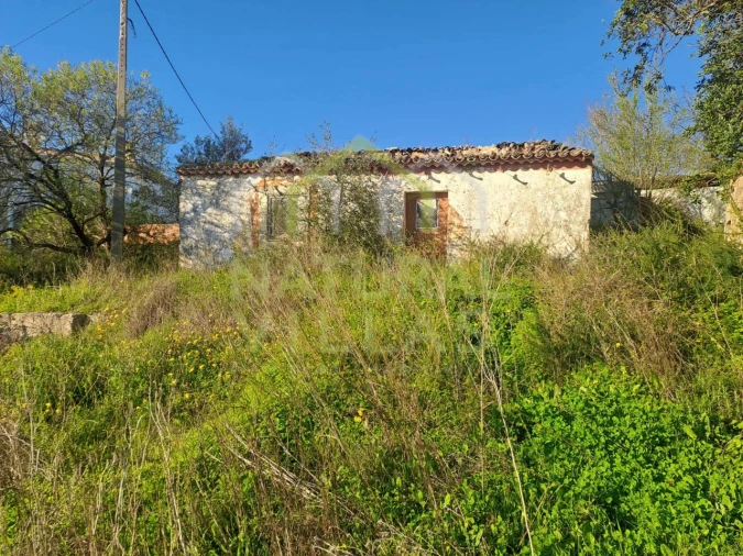 Terreno para Venda em Loule (São Sebastião) Foto 7