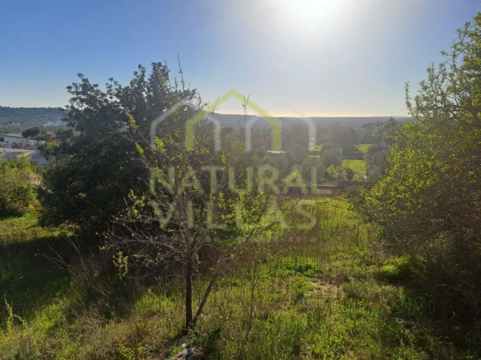 Terreno para Venda em Loule (São Sebastião) Foto 12