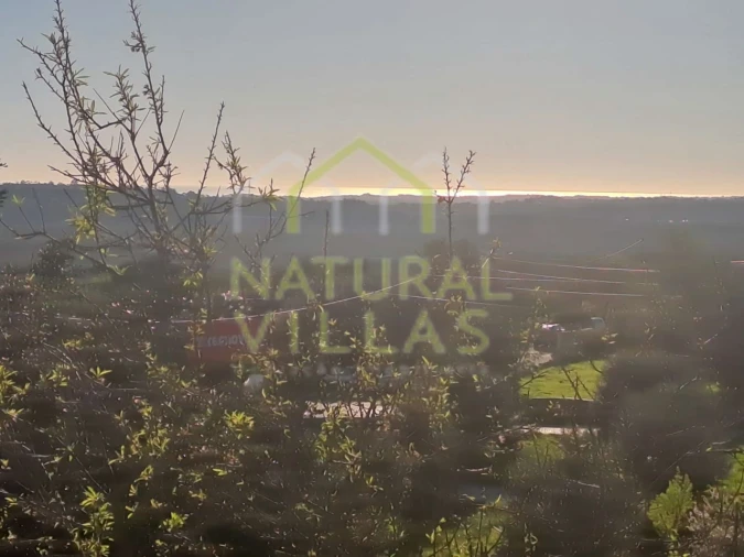 Terreno para Venda em Loule (São Sebastião) Foto 14