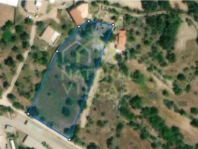 Terreno para Venda em Loule (São Sebastião) Foto 15