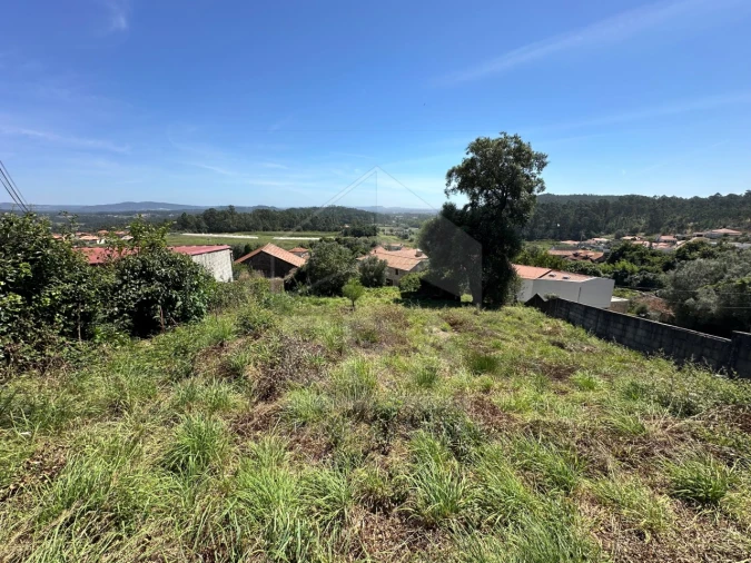 Terreno para Venda em Palmeira de Faro e Curvos Foto 10