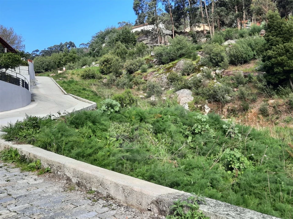 Terreno para Venda em Santa Maria Maior e Monserrate e Meadela Foto 5