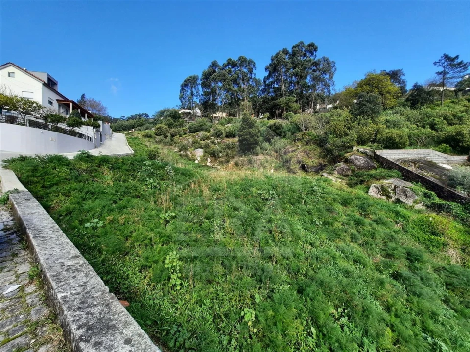 Terreno para Venda em Santa Maria Maior e Monserrate e Meadela Foto 6