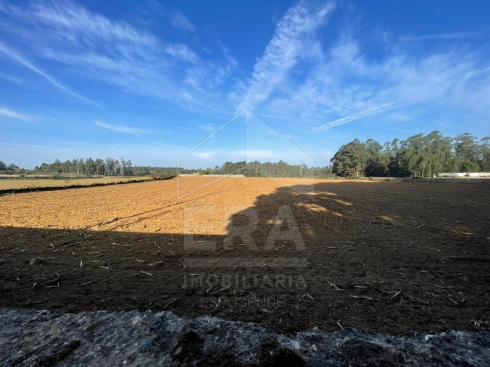 Terreno para Venda em Aver-O-Mar, Amorim e Terroso Foto 1