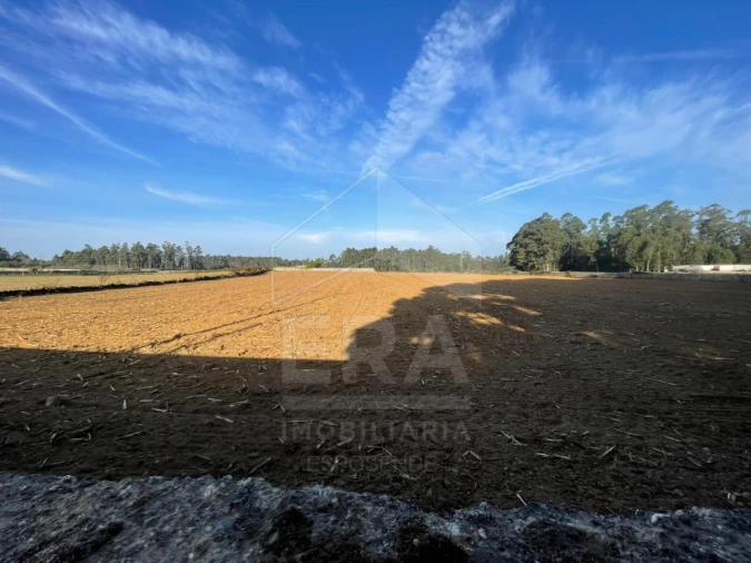 Terreno para Venda em Aver-O-Mar, Amorim e Terroso Foto 1