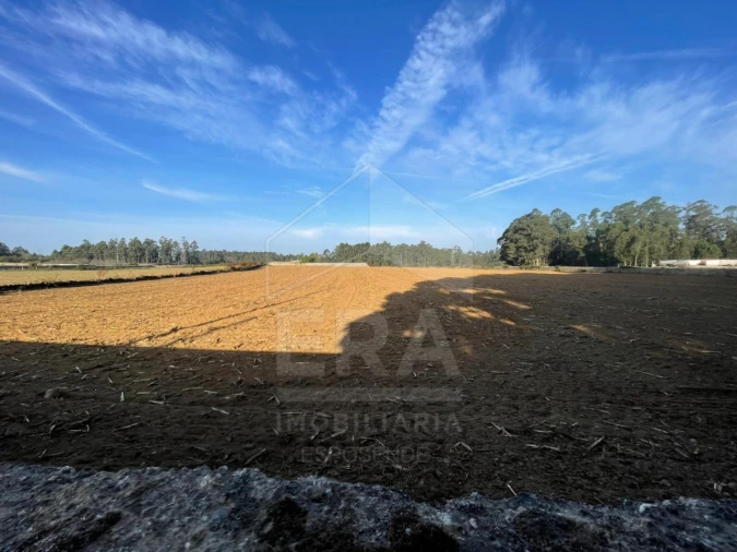 Terreno para Venda em Aver-O-Mar, Amorim e Terroso Foto 5