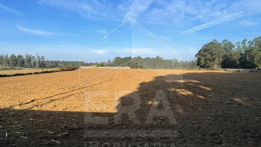 Terreno para Venda em Aver-O-Mar, Amorim e Terroso