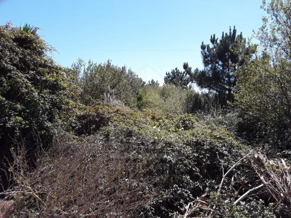 Terreno para Venda em Apúlia e Fão Foto 2