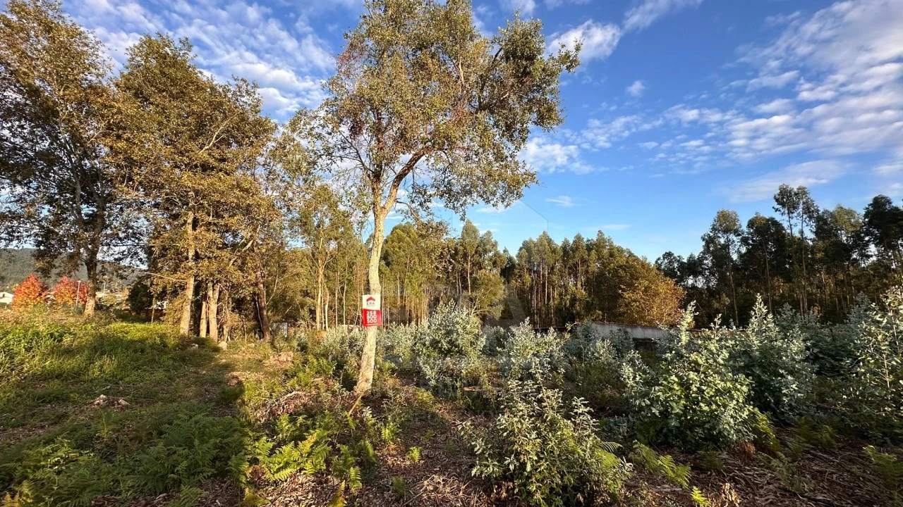 Terreno para Venda em Friastelas Foto 1
