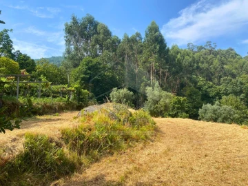 Terreno para Venda em Geraz do Lima (Santa Maria, Santa Leocádia, Moreira), Deão