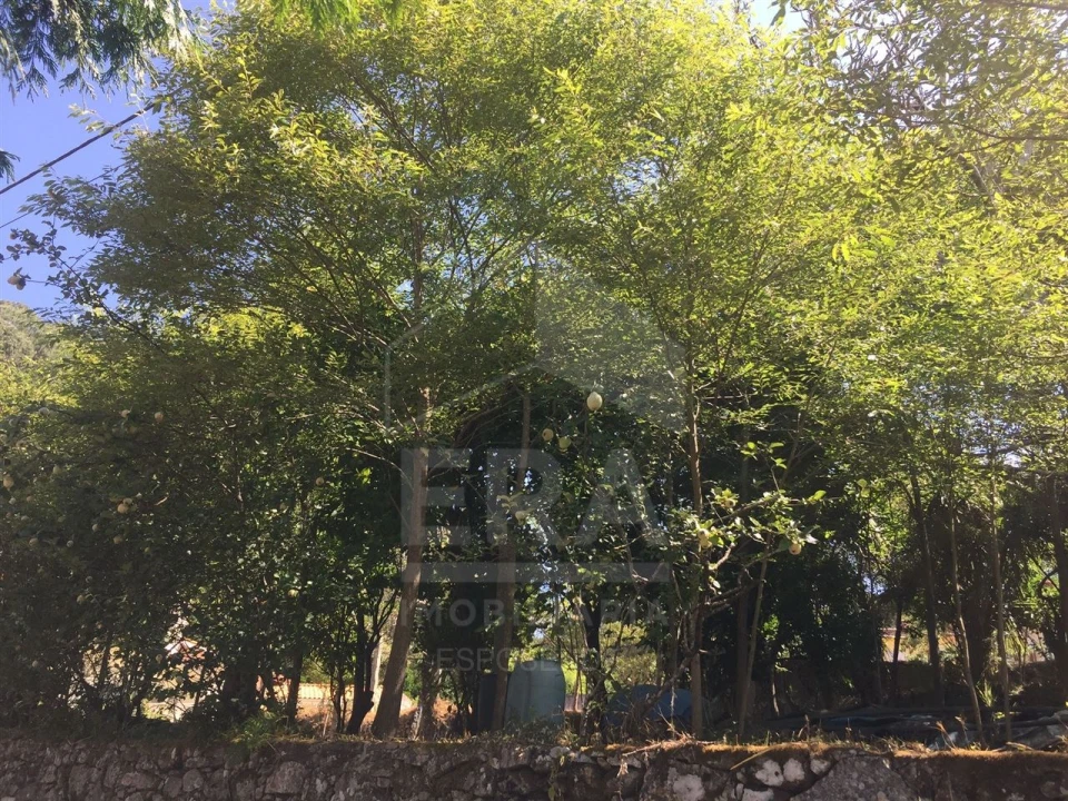 Terreno para Venda em Creixomil e Mariz Foto 6