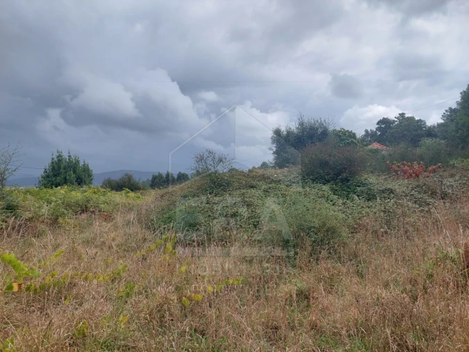 Terreno para Venda em Antas Foto 4