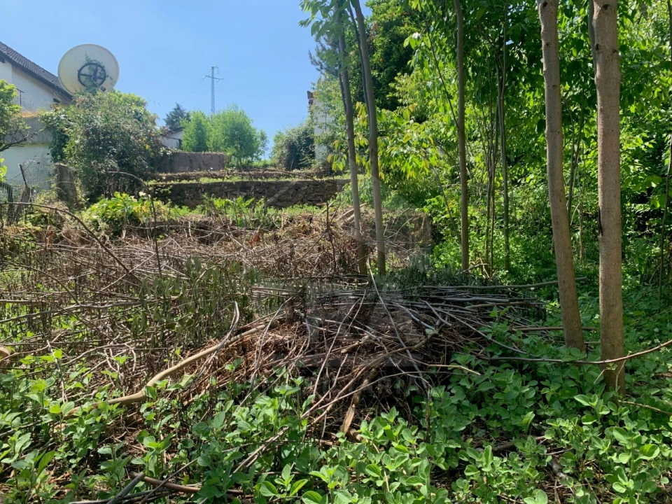 Terreno para Venda em Mazarefes e Vila Fria Foto 4