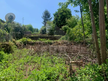 Terreno para Venda em Mazarefes e Vila Fria